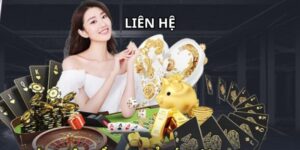 Liên hệ qua boxchat